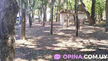 Parque y Campamento Diurno - Santa Ana