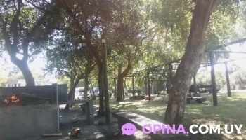 Parrilleros - 80300 Parrilleros - 80300