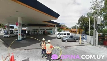 Pashika - Eduardo Raiz Y