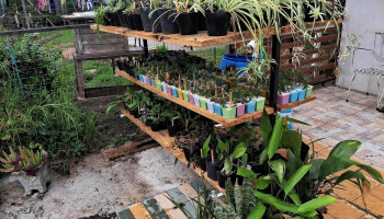 Patios y Jardines - Departamento De Canelones