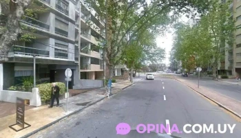 Patricia Quartino Negocios Inmobiliarios - Montevideo Patricia Quartino Negocios Inmobiliarios - Montevideo