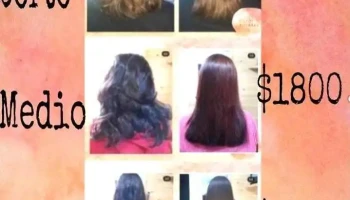 Pau Alisados - Departamento De Rocha