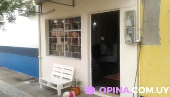 Peinados Mafalda De La Lore - Y