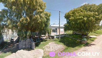 Peinados Teresa - A. Camejo 482 Peinados Teresa - A. Camejo 482