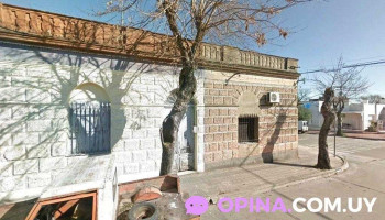 Peinarte - 80000 San José De Mayo