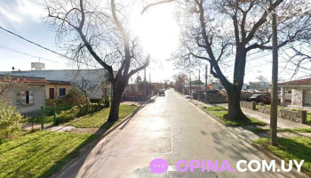 Pela Beer - 12900 Montevideo Pela Beer - 12900 Montevideo