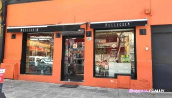 Pellegrin - Montevideo