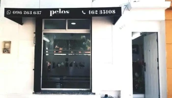 Pelos Profesional - 40000 Rivera