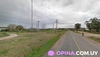 Pelu Canin - 15500 Joaquín Suárez