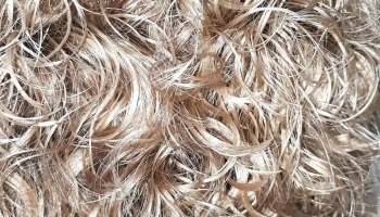 Peluquería Belvedere - 11900 Montevideo