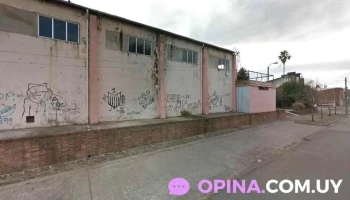 peluqueria braulio - 37000 Melo peluqueria braulio - 37000 Melo