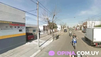 Peluqueria brush - 94000 Florida