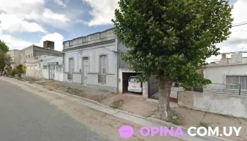 Peluquería Canina Barberdog - 94100 Sarandí Grande Peluquería Canina Barberdog - 94100 Sarandí Grande