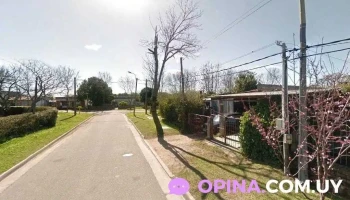 Peluquería canina Burbujass - 12400 Montevideo Peluquería canina Burbujass - 12400 Montevideo