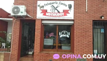 Peluqueria Canina Mechudos - 70600 Tarariras Peluqueria Canina Mechudos - 70600 Tarariras