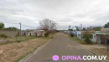 Peluqueria Rasta Artemisa - Eladio Zavala