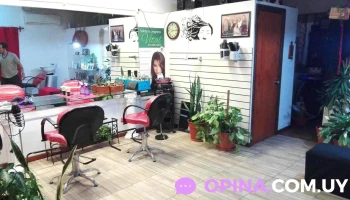 Peluqueria Tijera y Color - 20000 Maldonado
