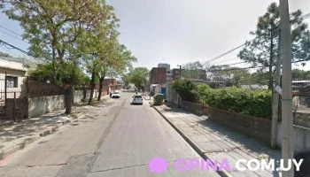 Pequeños y grandes animales.mutualismo - 12800 Montevideo