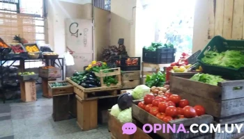 Perasalolmo - Vázquez