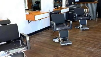 Perro Callejero - 70000 Col. Del Sacramento