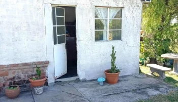 Perruqueria - Estetica Canina - Cam. Olazagasti Perruqueria - Estetica Canina - Cam. Olazagasti