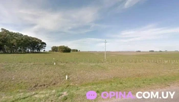 Persistir Sas - Carlos Reyles