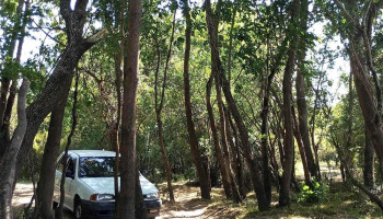 Pesquero costa hermosa - Santa Lucía Pesquero costa hermosa - Santa Lucía