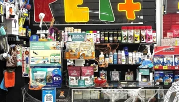 Pet + Paso Molino - 11900 Montevideo