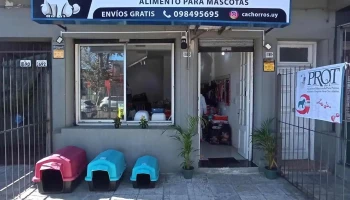 Pet Shop Cachorros buceo - 11600 Montevideo