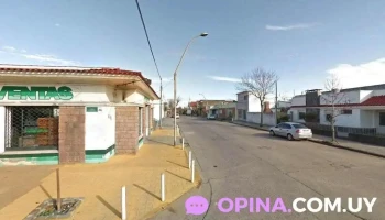 Pet Shop MAs que Bichos - 33000 Treinta Y Tres