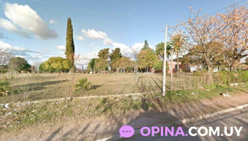 Pet Shop Paysandu - 60000 Paysandú