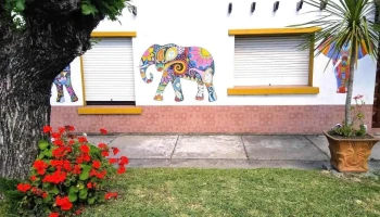 Piñeyro del campo - 25 De Agosto