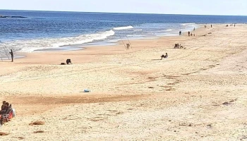 Playa Brava - Departamento De Canelones Playa Brava - Departamento De Canelones