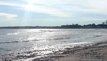 Playa Mansa - Departamento De Canelones Playa Mansa - Departamento De Canelones