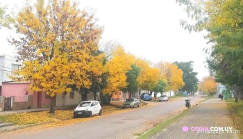 Plaza Barrio Rodríguez Barrios - San Carlos