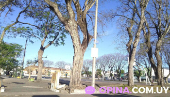 Plaza de deportes - 80000 San José De Mayo Plaza de deportes - 80000 San José De Mayo