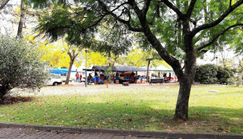 Plaza de Los Cerrillos - Los Cerrillos