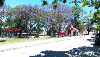 Plaza Zorrilla de San Martín - San José De Mayo