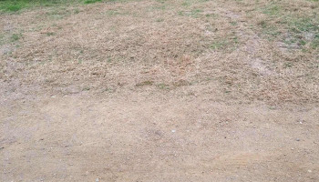 Policlínica San Luis - 15400 San Luis Policlínica San Luis - 15400 San Luis