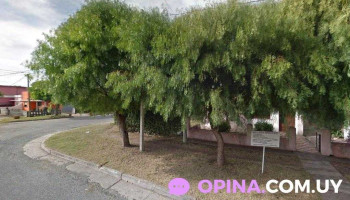 Policlínica Santa Elena - 60000 Paysandú