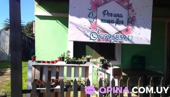 Por Una Nueva Flor - Guichón