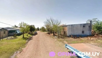 Productos Capilares Alba - 55100 Bella Unión Productos Capilares Alba - 55100 Bella Unión