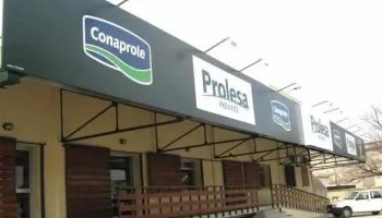 Prolesa San José - 80000 San José De Mayo