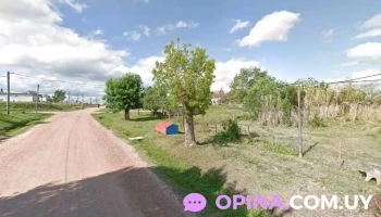 Provision Adriana farina - Luis Alberto 68 Provision Adriana farina - Luis Alberto 68