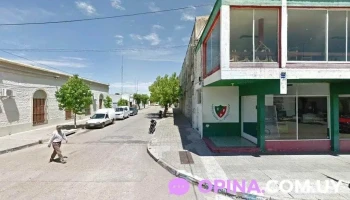 Provision Progreso - 75100 Dolores