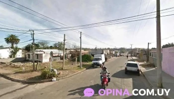 Provisión Rodó - 75000 Mercedes Provisión Rodó - 75000 Mercedes