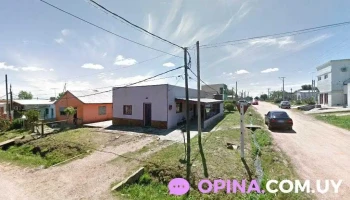 Provisión Tala - 91800 Tala