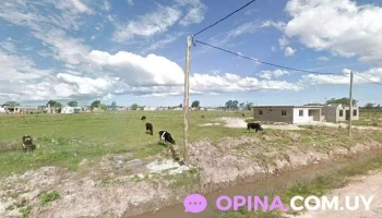 Proyecto Juntos - Rio Branco