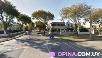 Psicologa Agustina Morales - Montevideo
