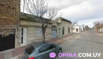 Psicóloga Lic. Melisa San Martín - Paysandú